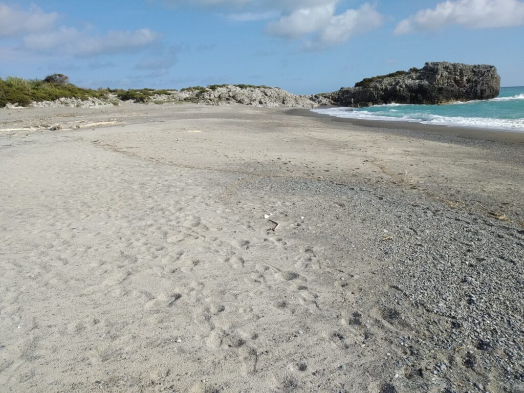 Vacanze al mare con il cane? Vieni a Marina di Camerota