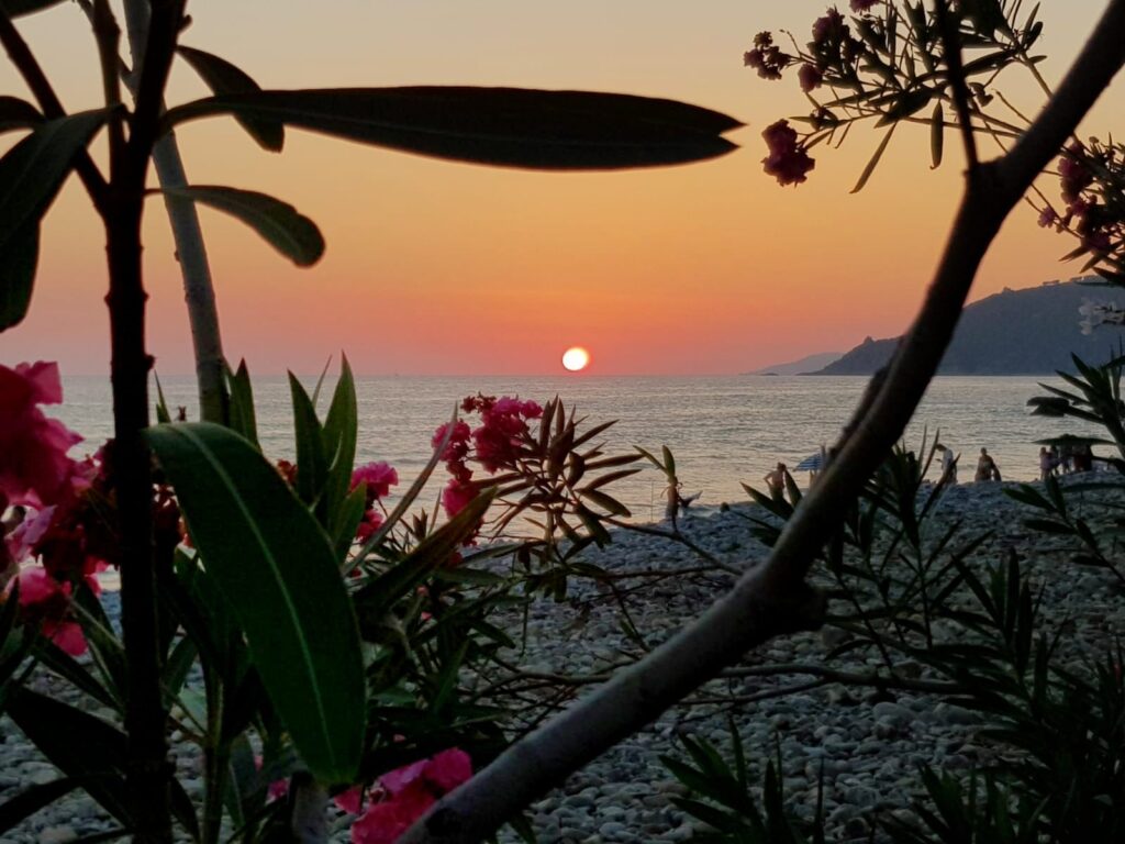 Vacanze di Giugno a Pisciotta