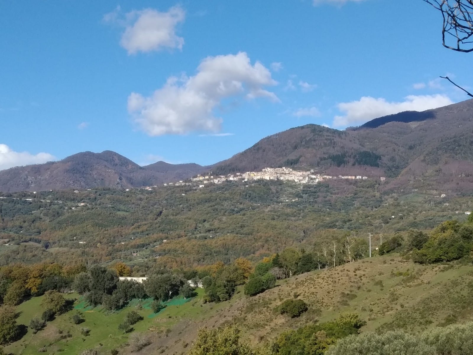 Aspetti fitoclimatici di Montano Antilia