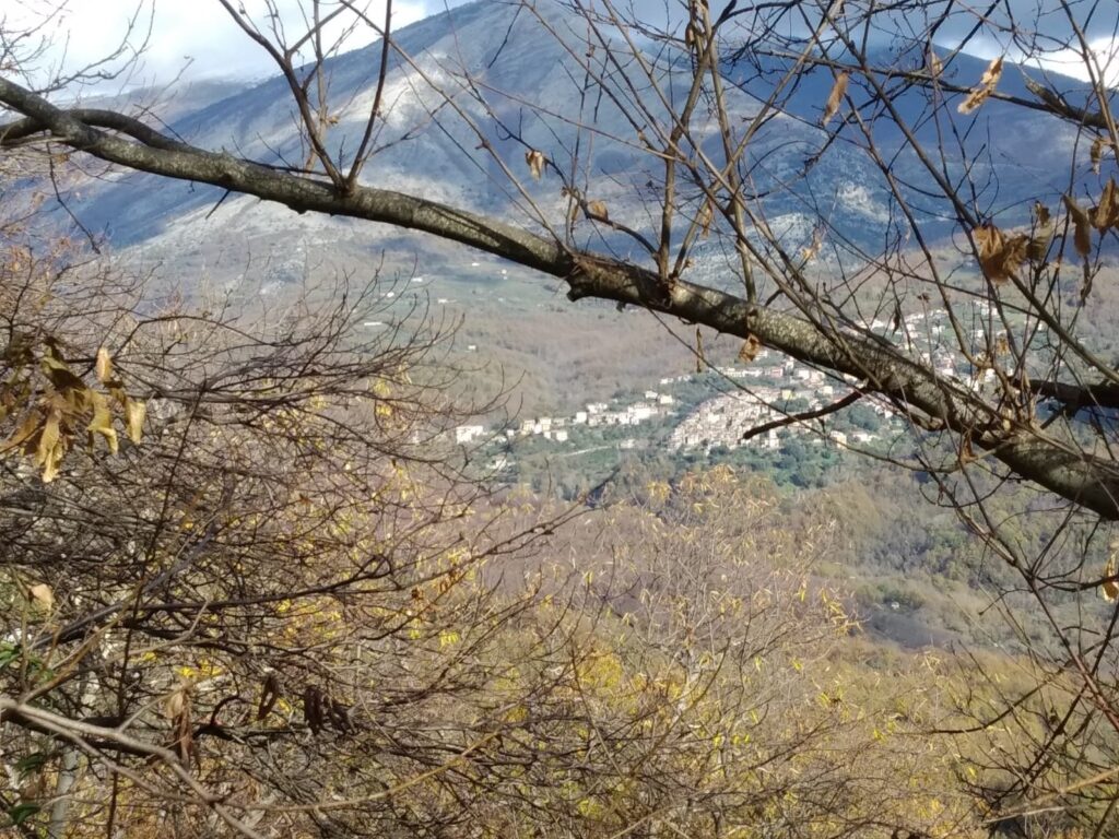 Aspetti fitoclimatici di Rofrano