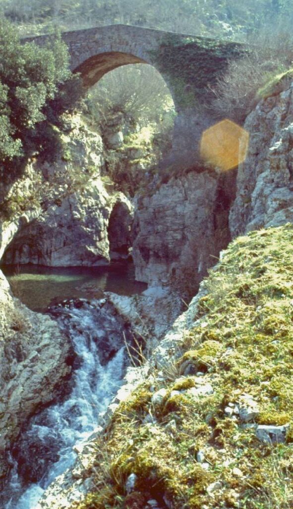 Aspetti fitoclimatici di Laurino