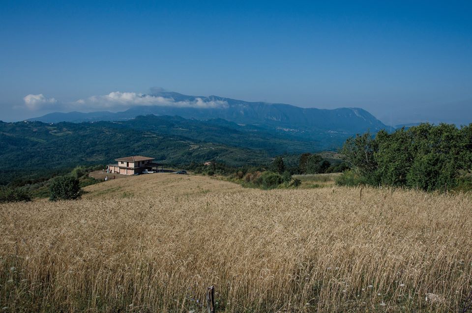 Aspetti fitoclimatici di Alfano