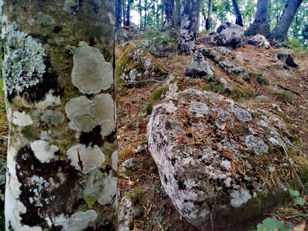 Aspetti geologici di Futani