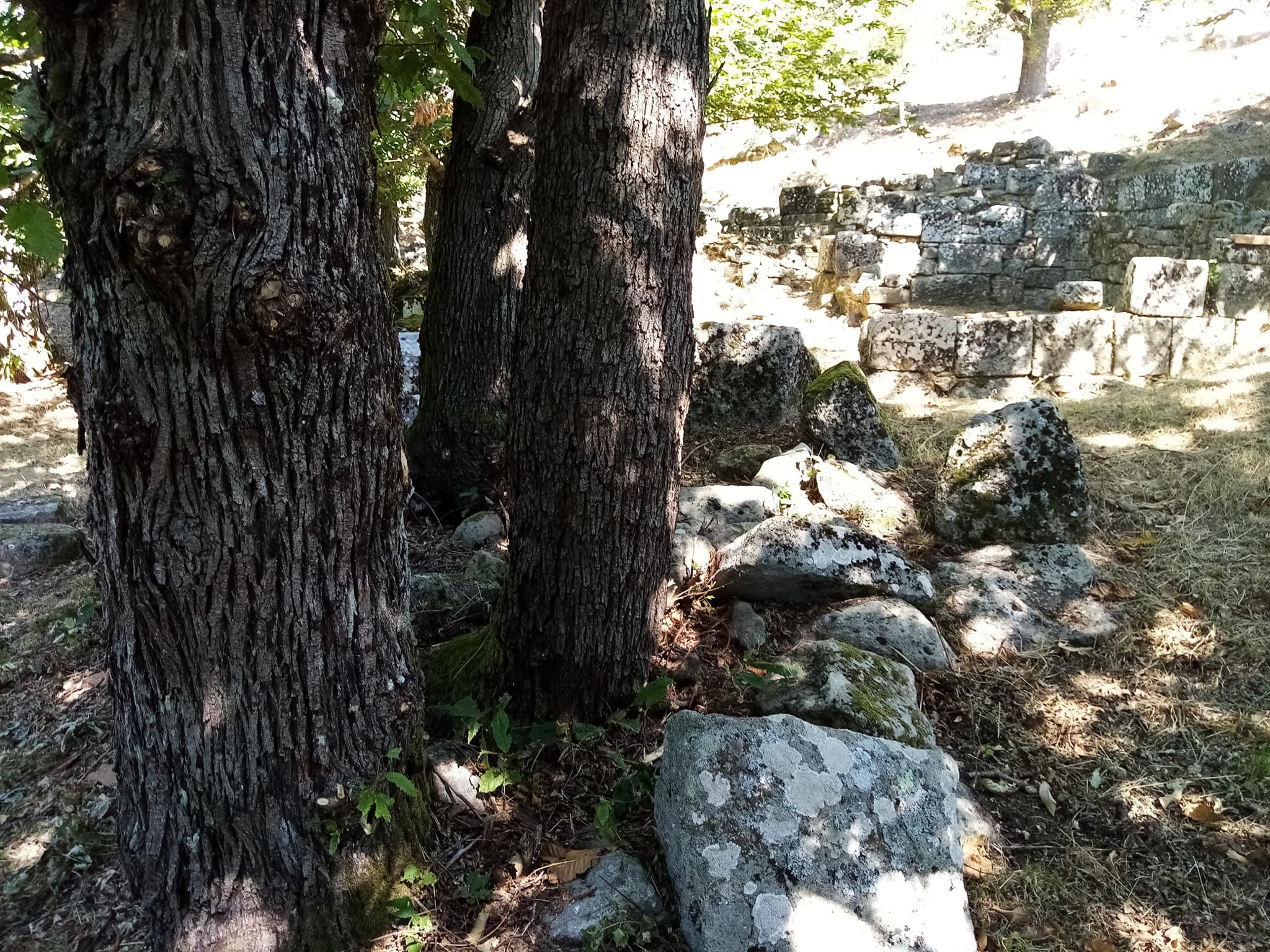 Aspetti fitoclimatici di Moio della Civitella